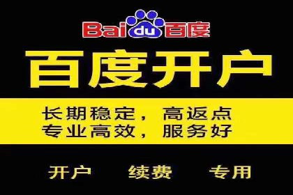 行业经典案例：SEM推广代运营如何助力销售增长